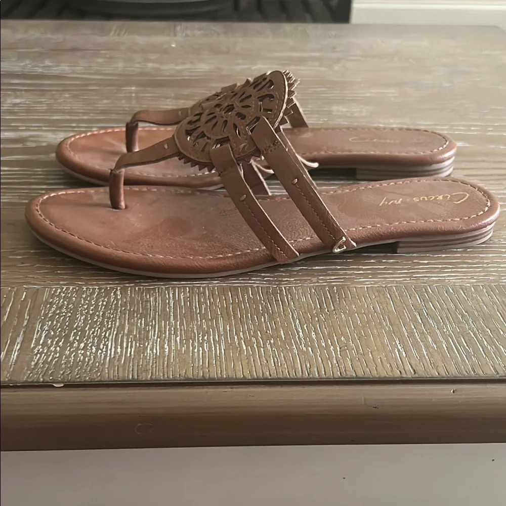 Circus by Sam Edelman Brown Cutout Sandals - Picture 2 of 4